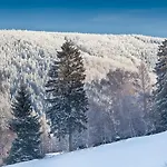 펜션 Bratka