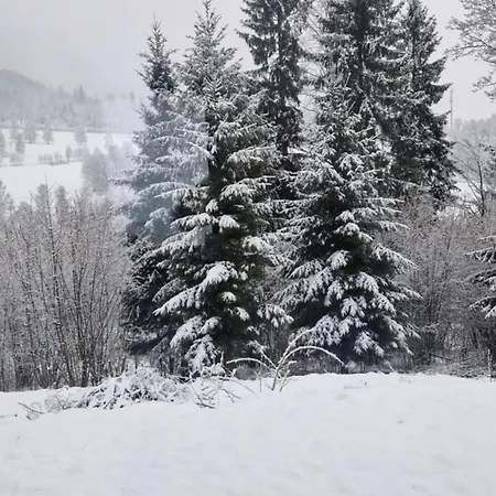 Holiday home Bratka Kletno