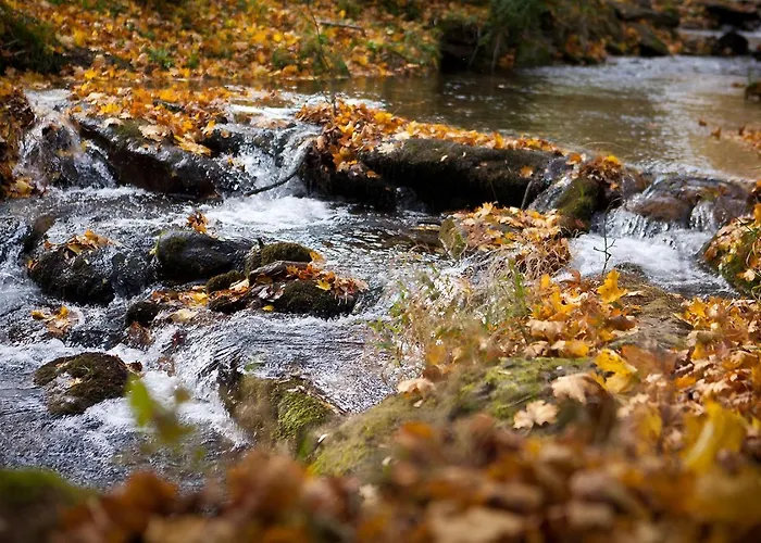 Bratka Сasa de vacaciones *