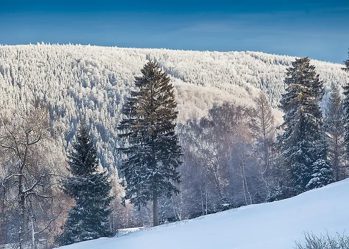 Сasa de vacaciones Bratka