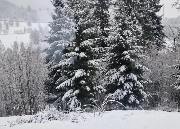 Сasa de vacaciones Bratka Kletno