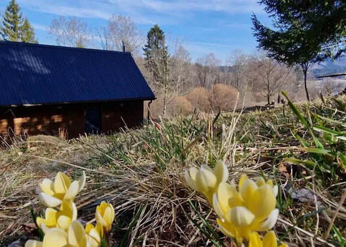 Сasa de vacaciones Bratka *